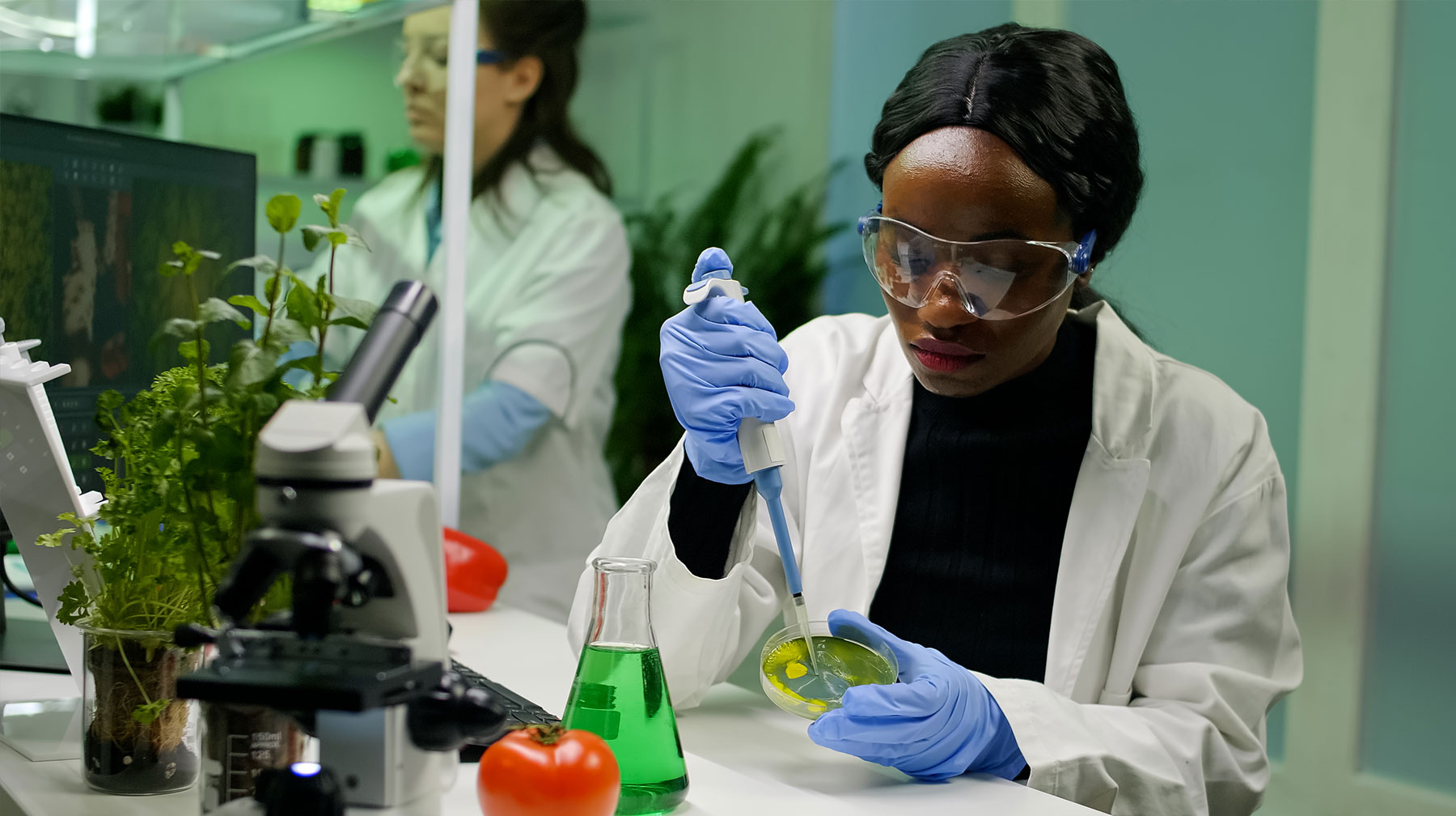Ghana BioInnovation Centre