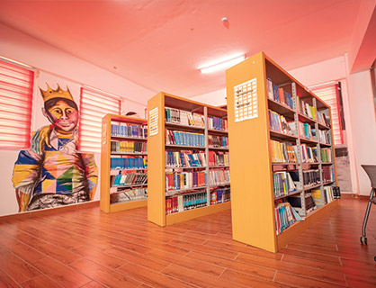Study Areas