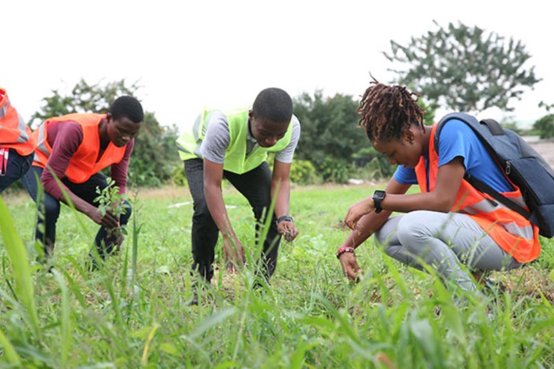 The-Bnari-Farms-Project