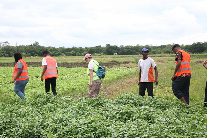 The-Bnari-Farms-Project-2