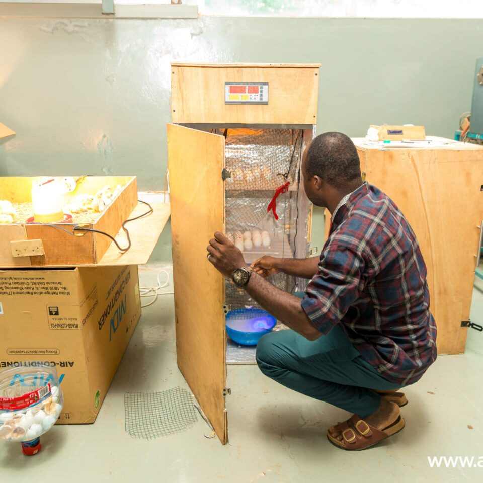 Academic City University students demonstrating a low-cost poultry incubator for local farming and food security in Ghana.